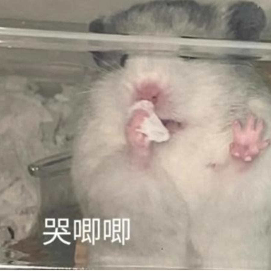 十二月终