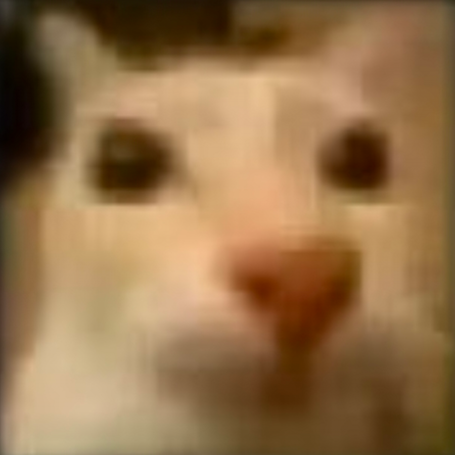 黧