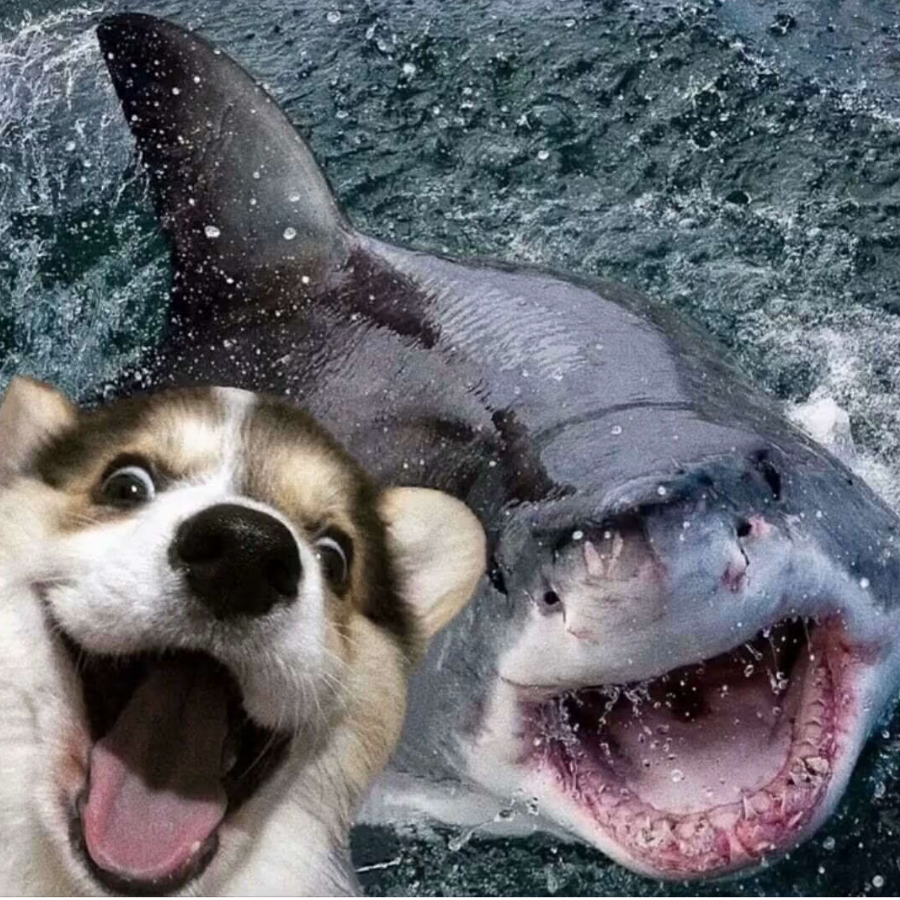 管错错