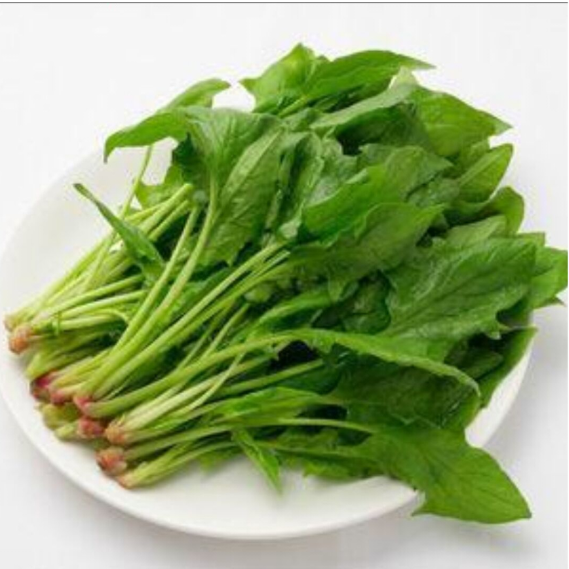 菠菜侠
