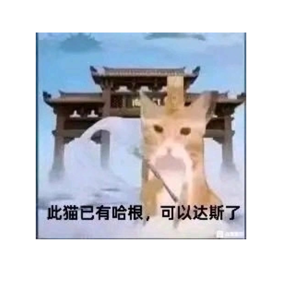 哈基米