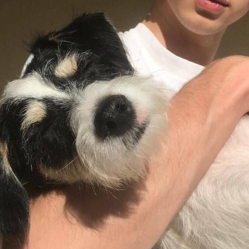 大熊