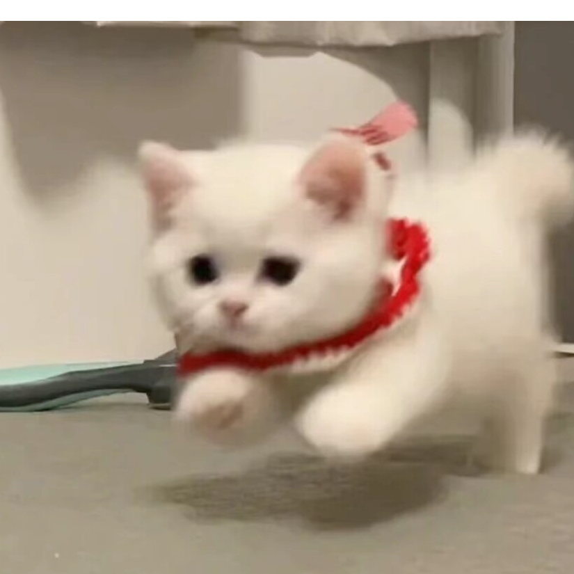 潮落.