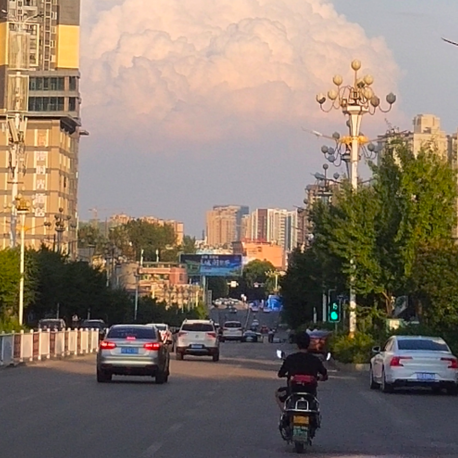 渐无书