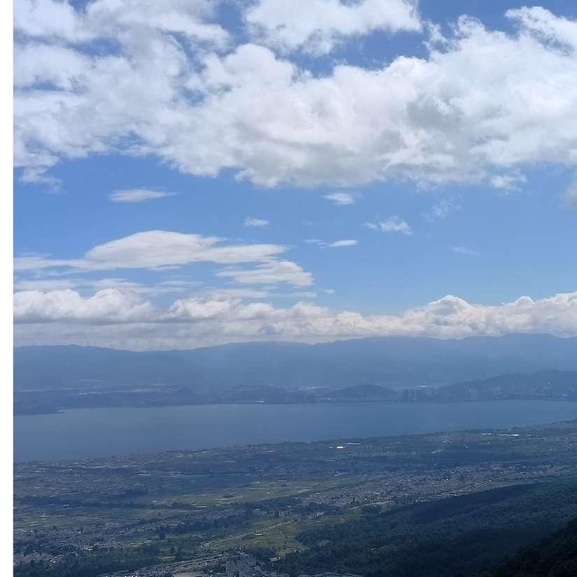 手机用户71861622