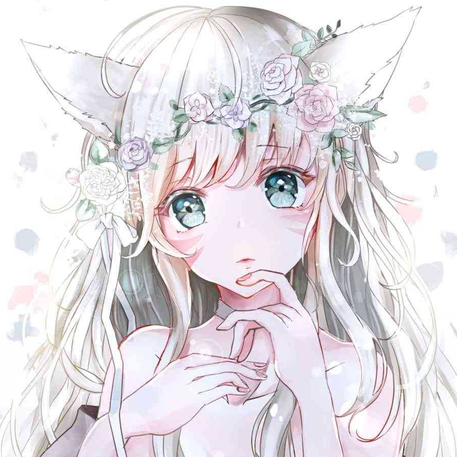 毛球