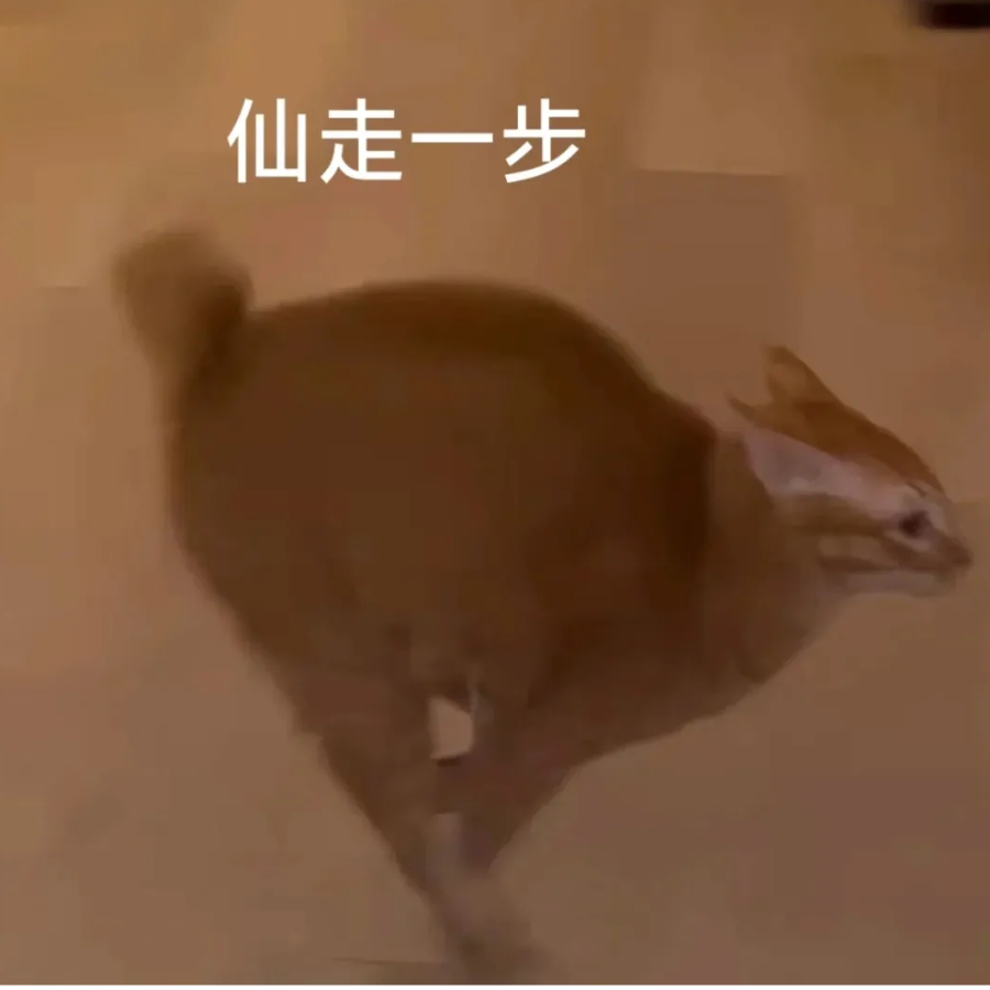 月隐繁星