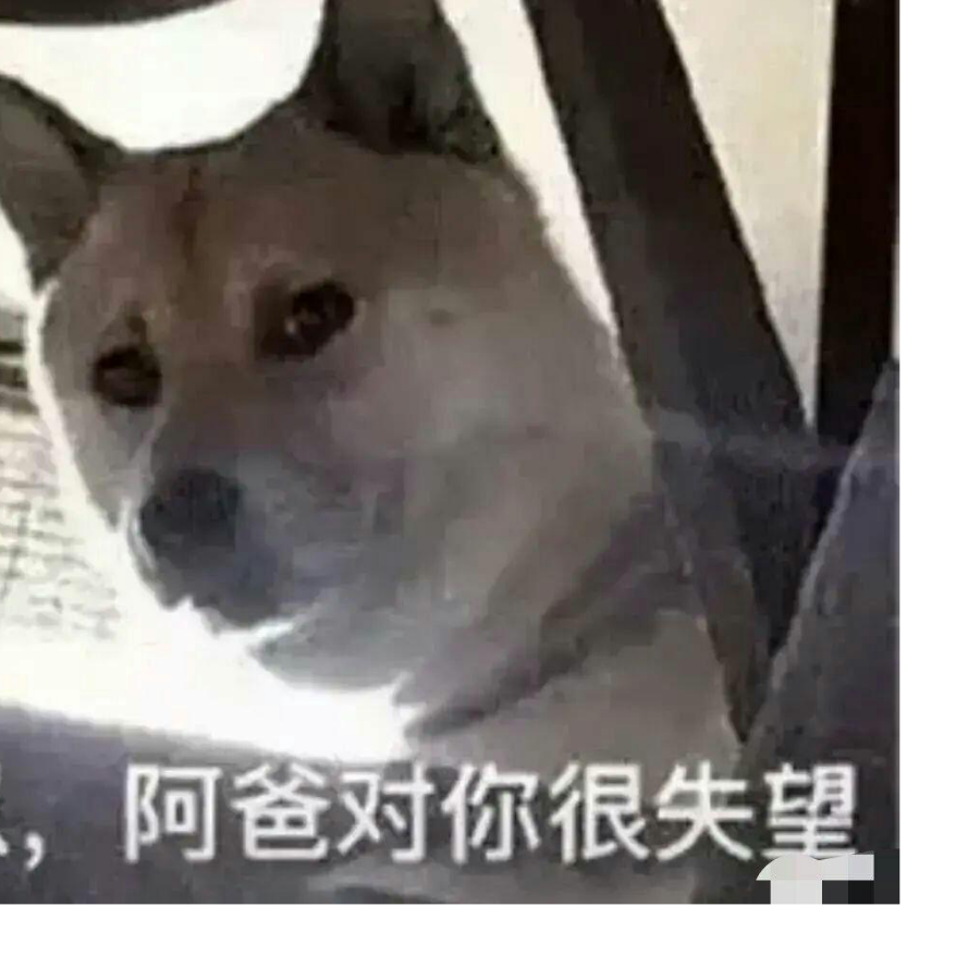 萌新细胞人