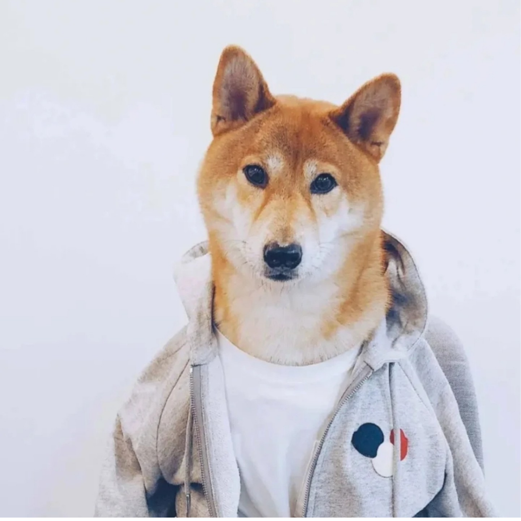 🐶