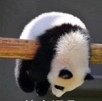 哇哦