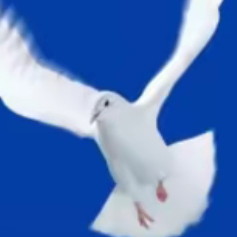 绪