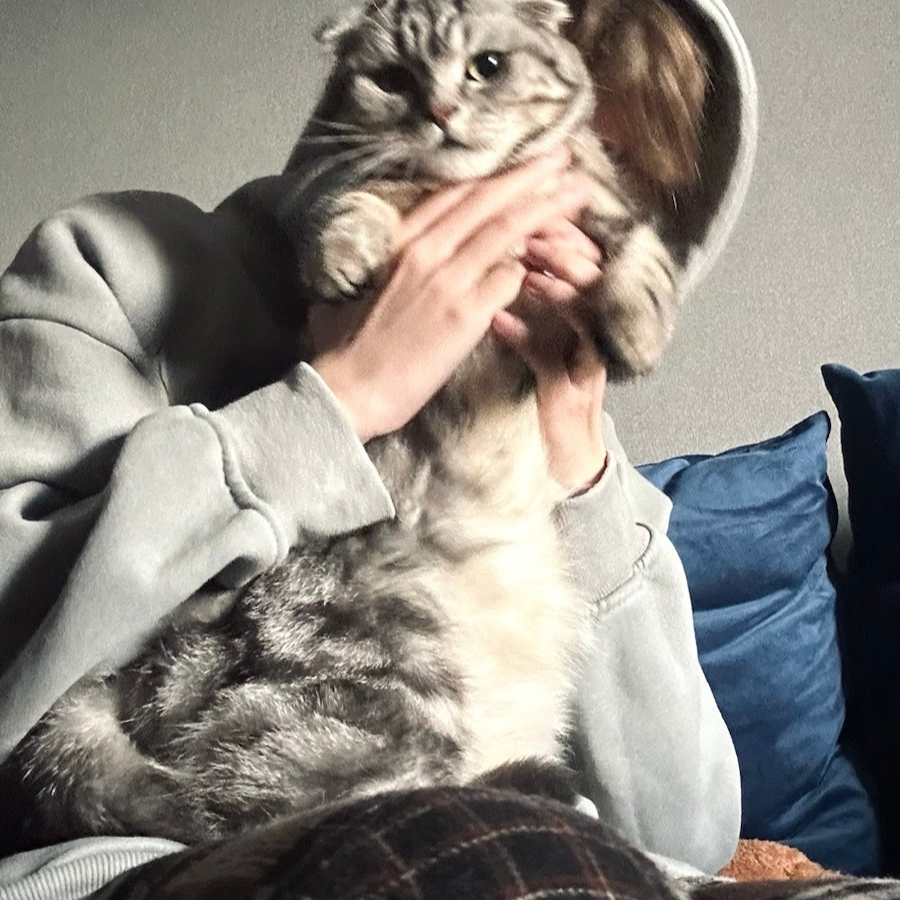 一盒豆奶反杀