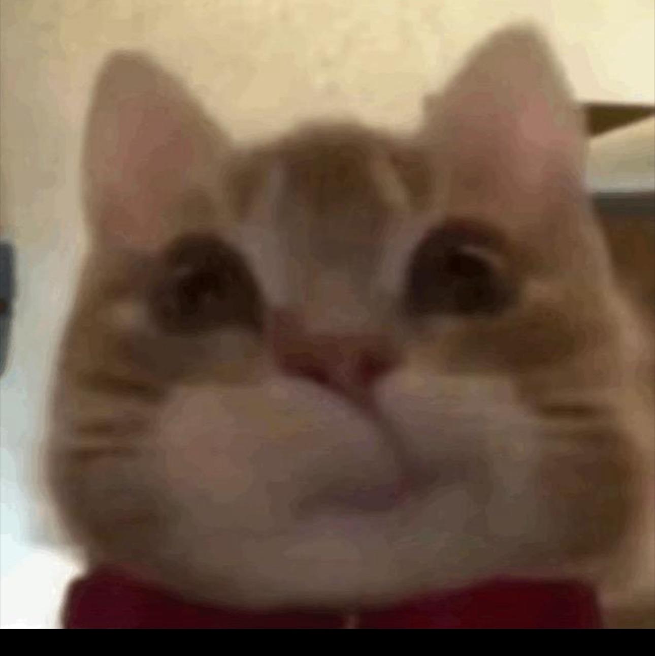 三叁參