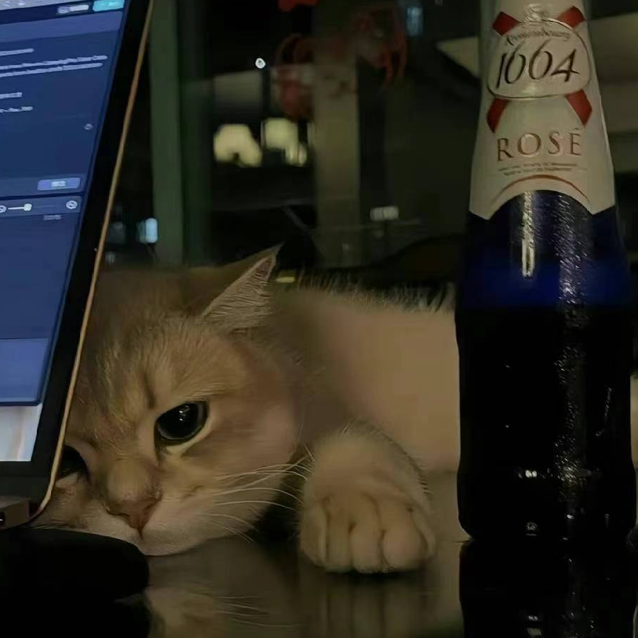 闪闪一闪闪