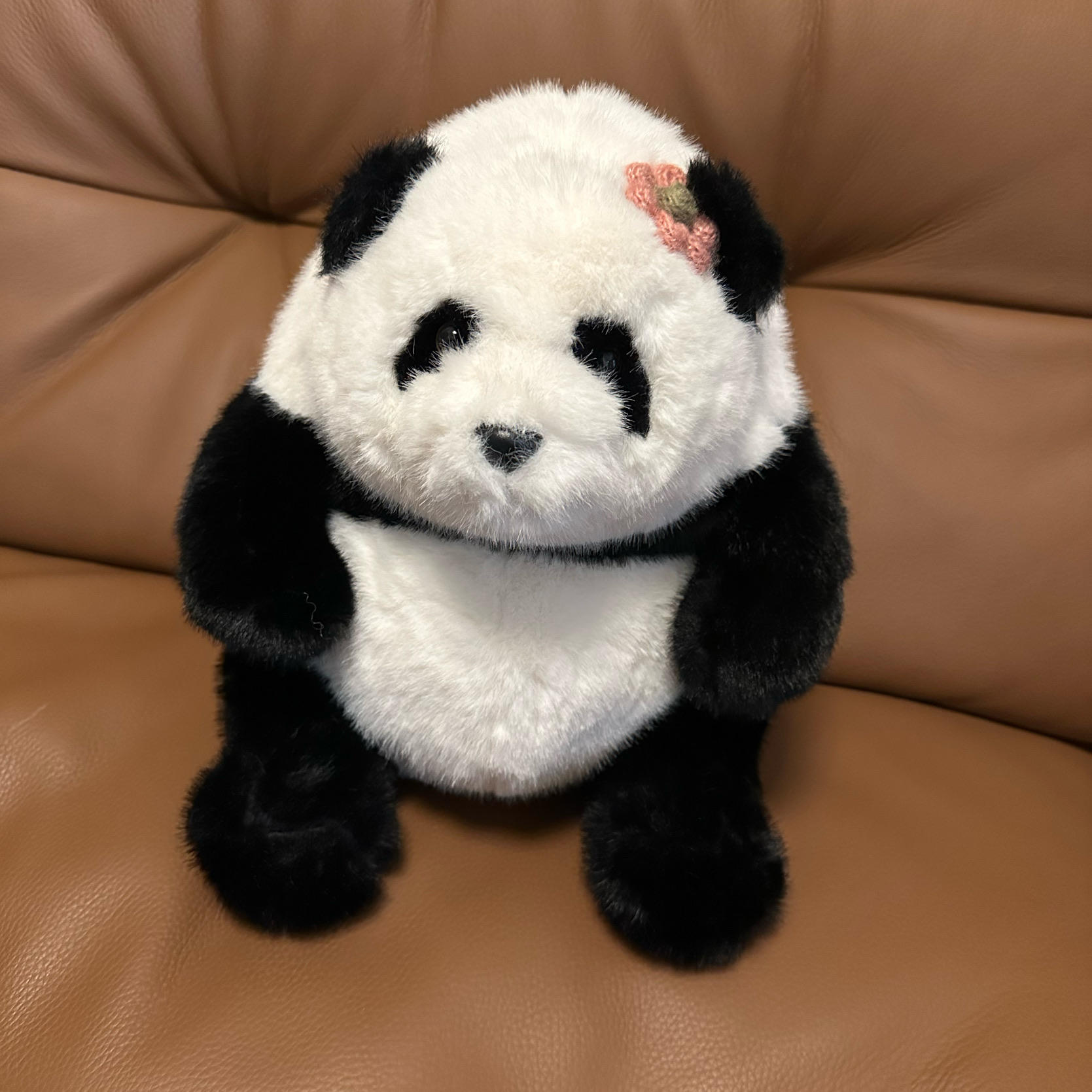 念悠🖤