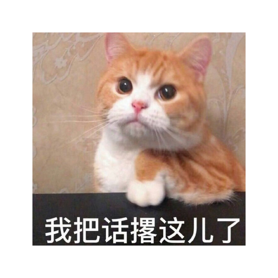 谁叫天才少年
