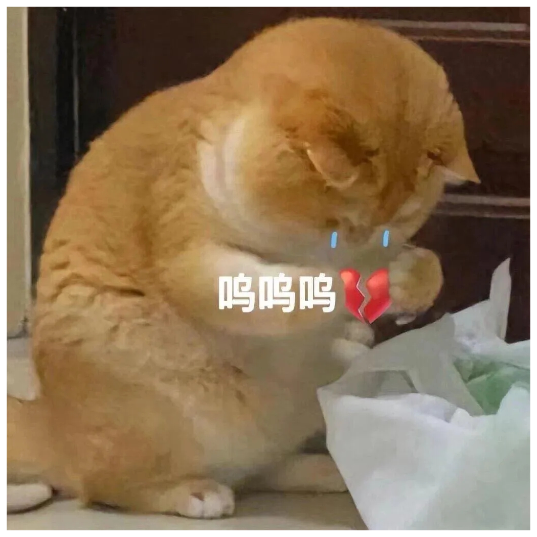 大白腿丿