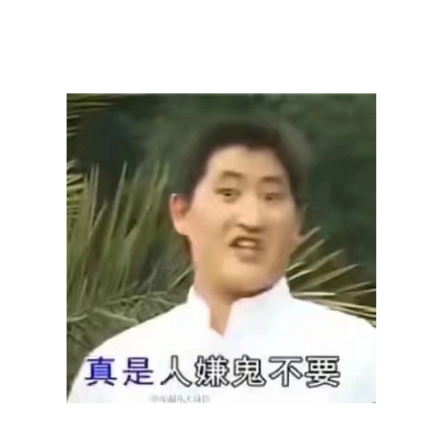 汪汪队立大功