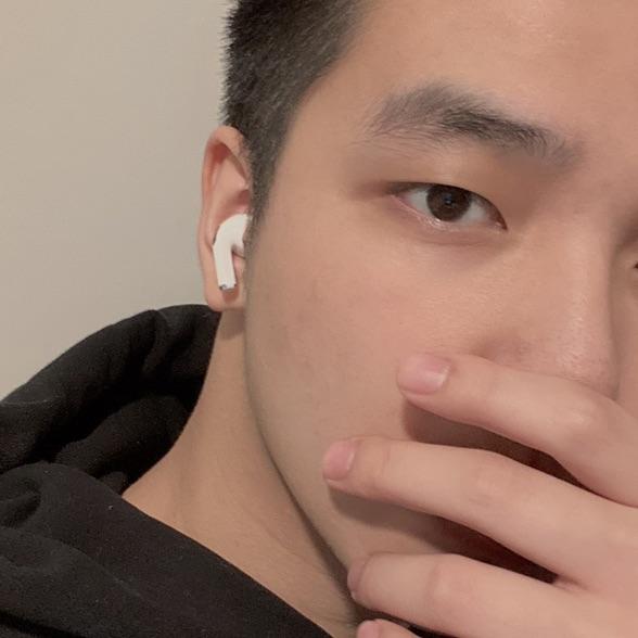 欧洲长颈鹿
