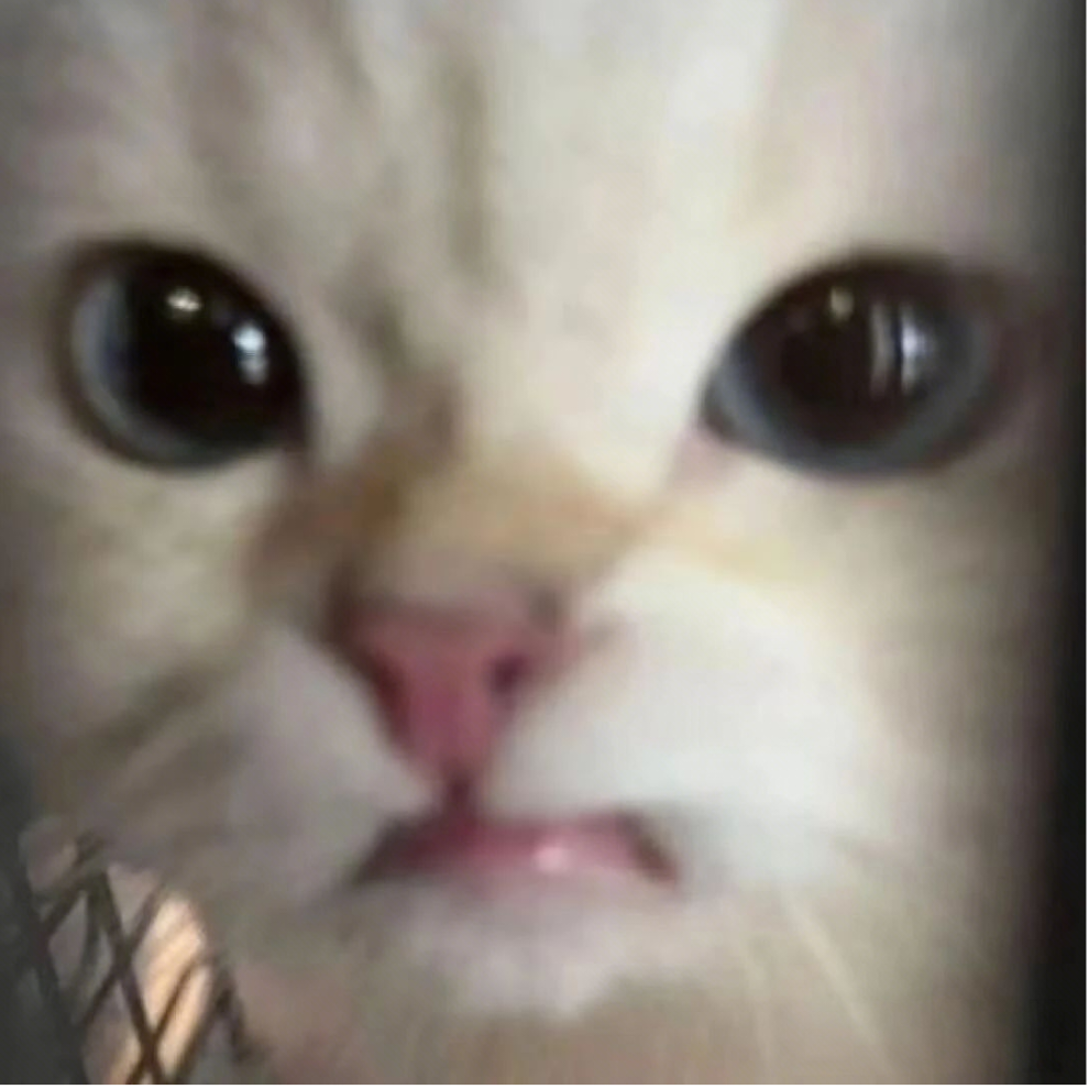 惊奇