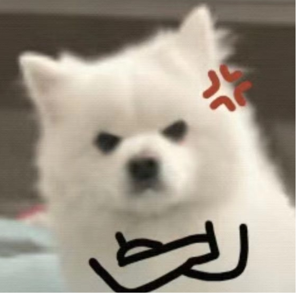 axxs