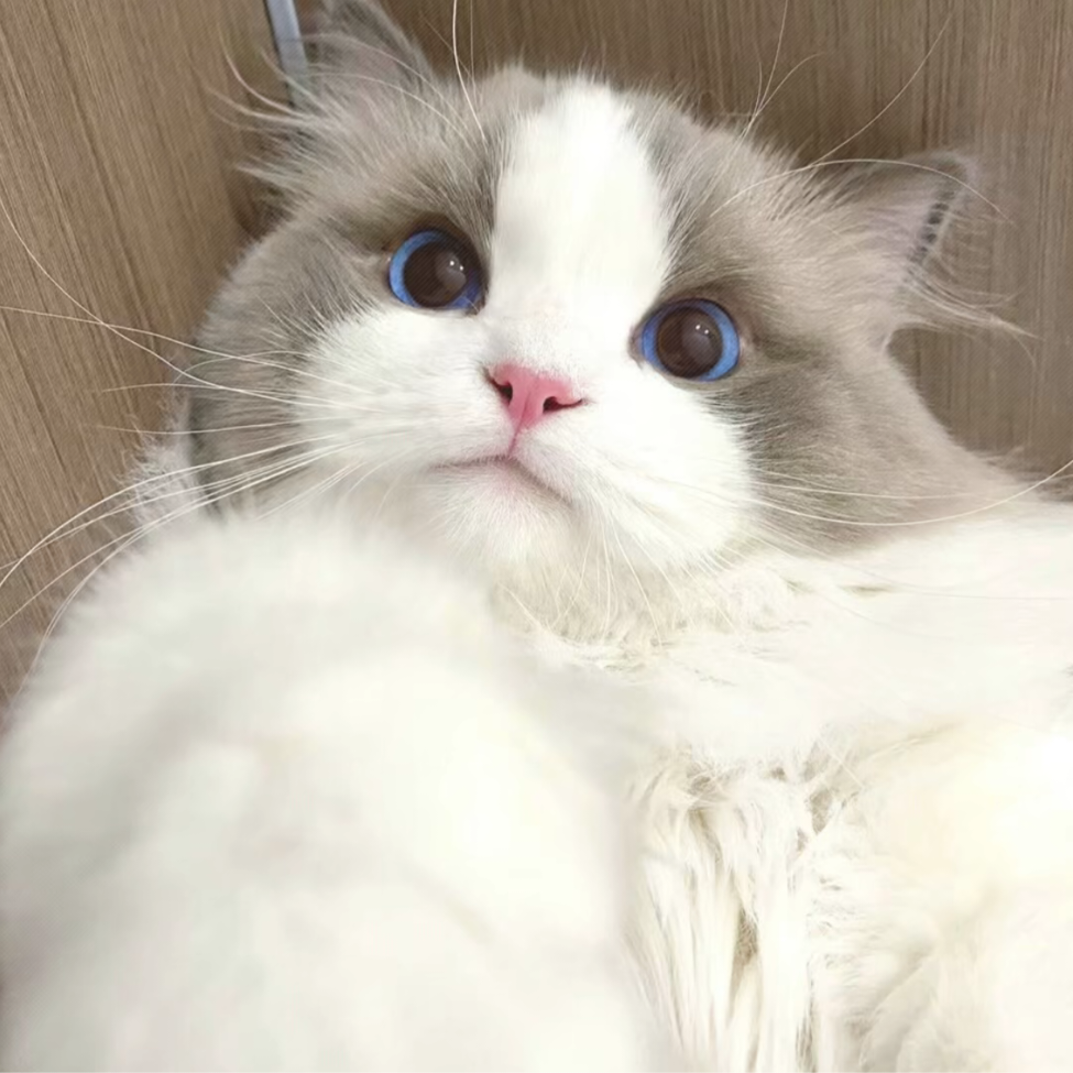 渝芙