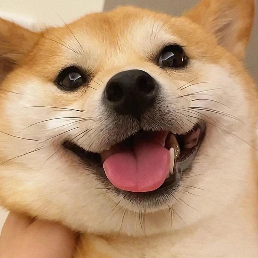星星
