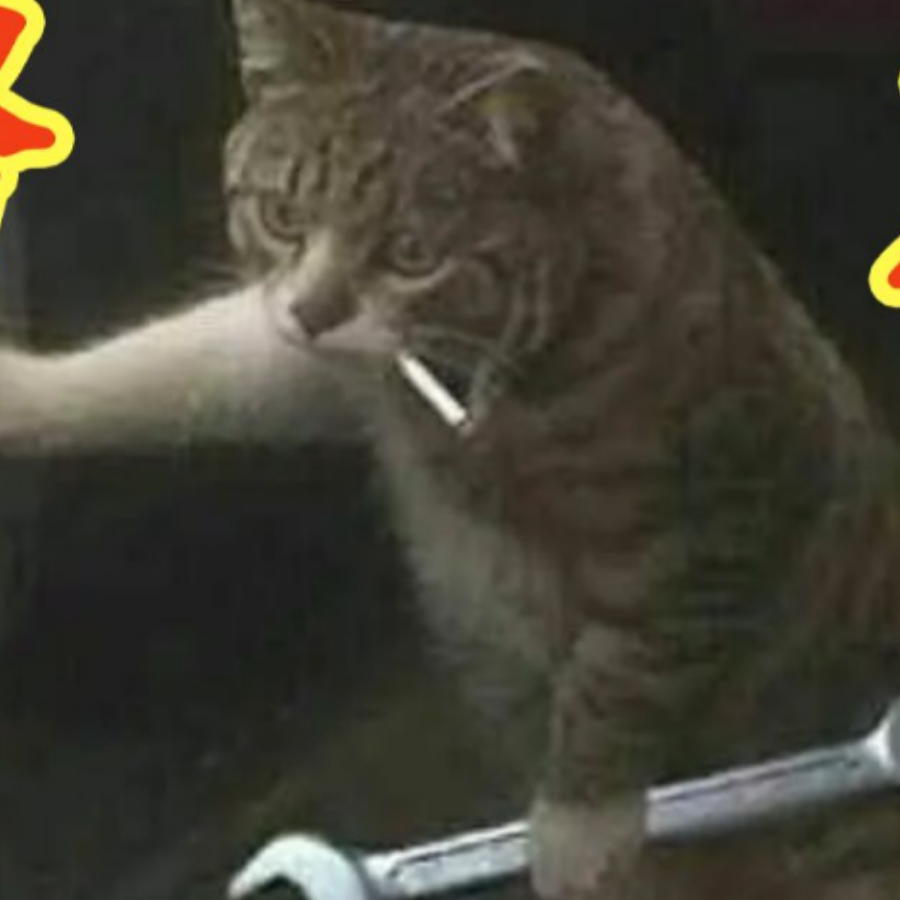 贰贰柒