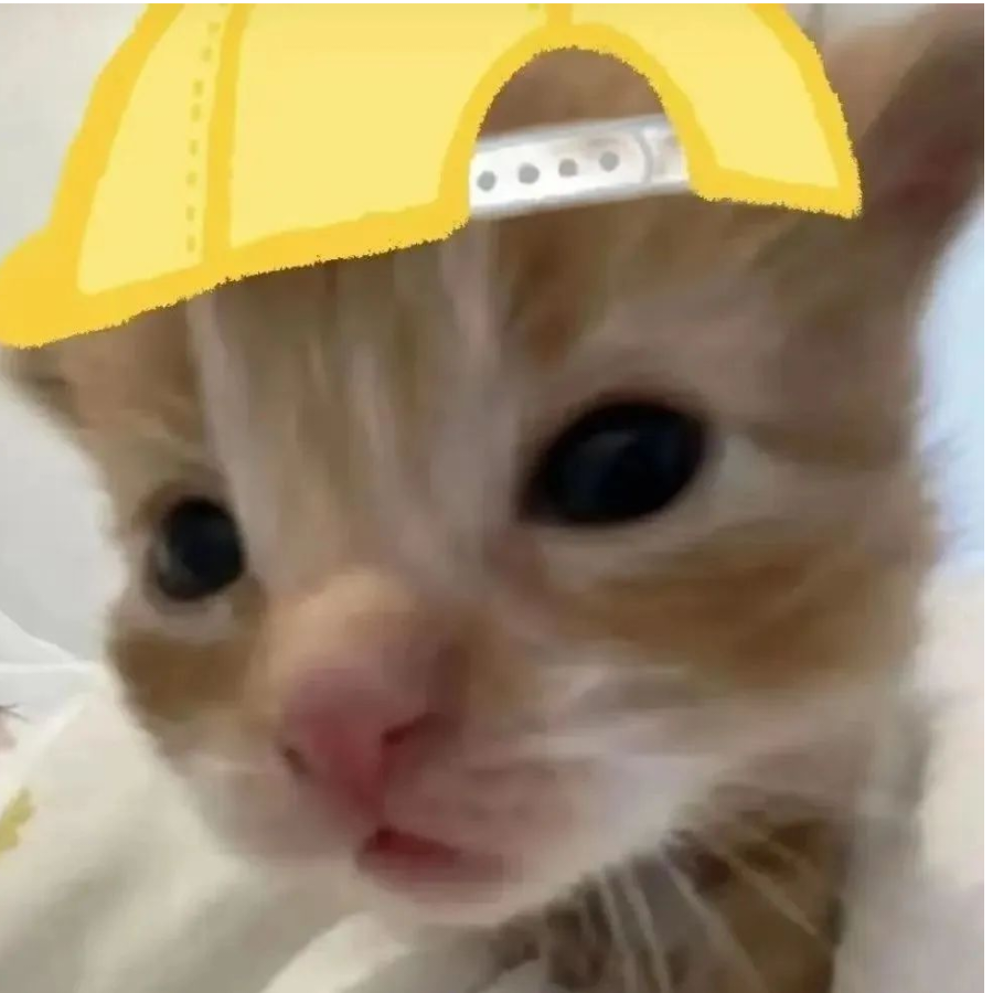 BBaoi