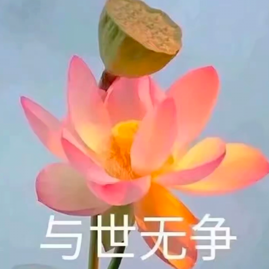 茫茫