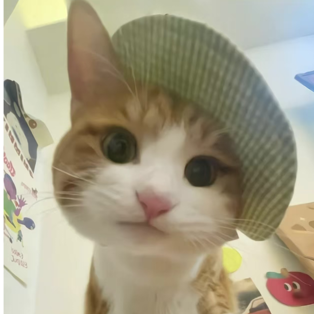 薯愿