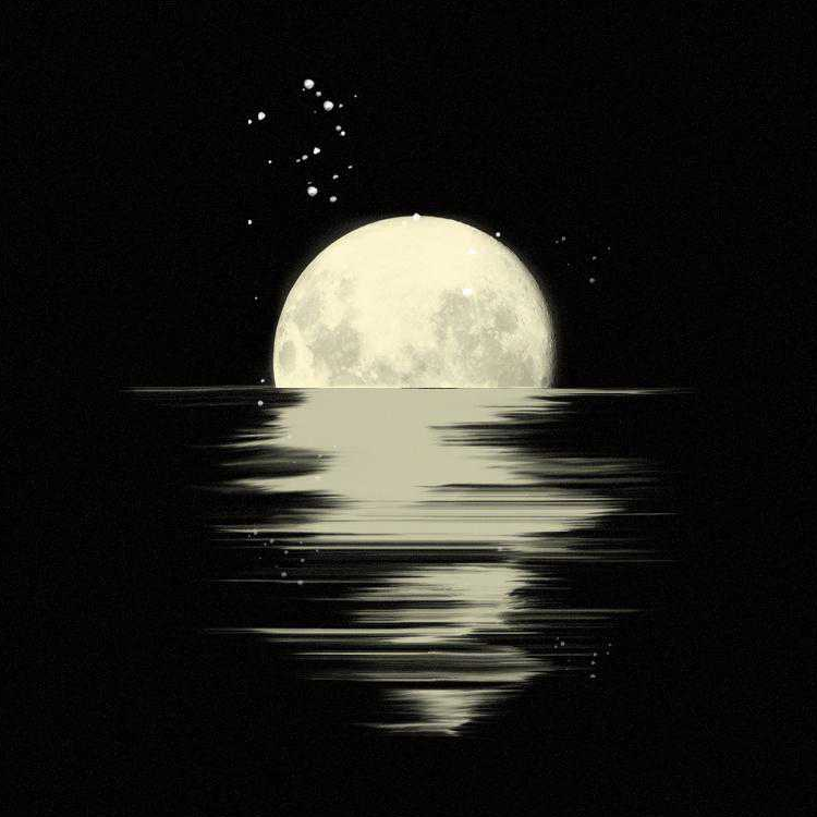 夜
