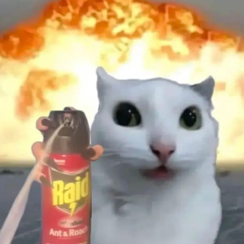 我小猫咪绝非善类