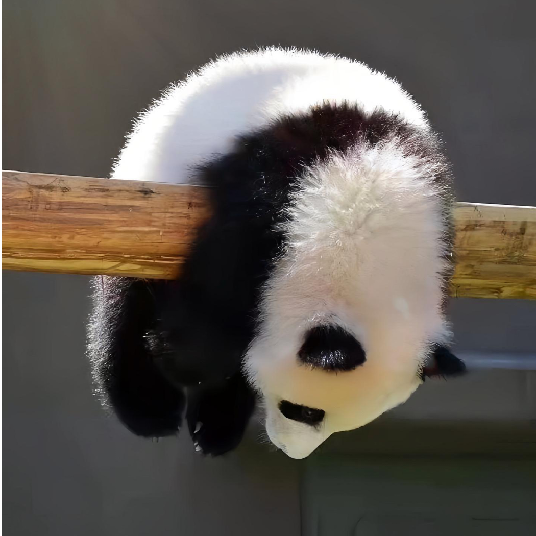 。