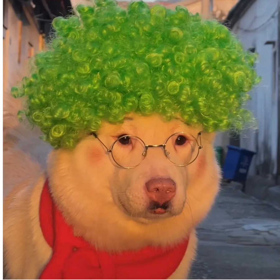 月九