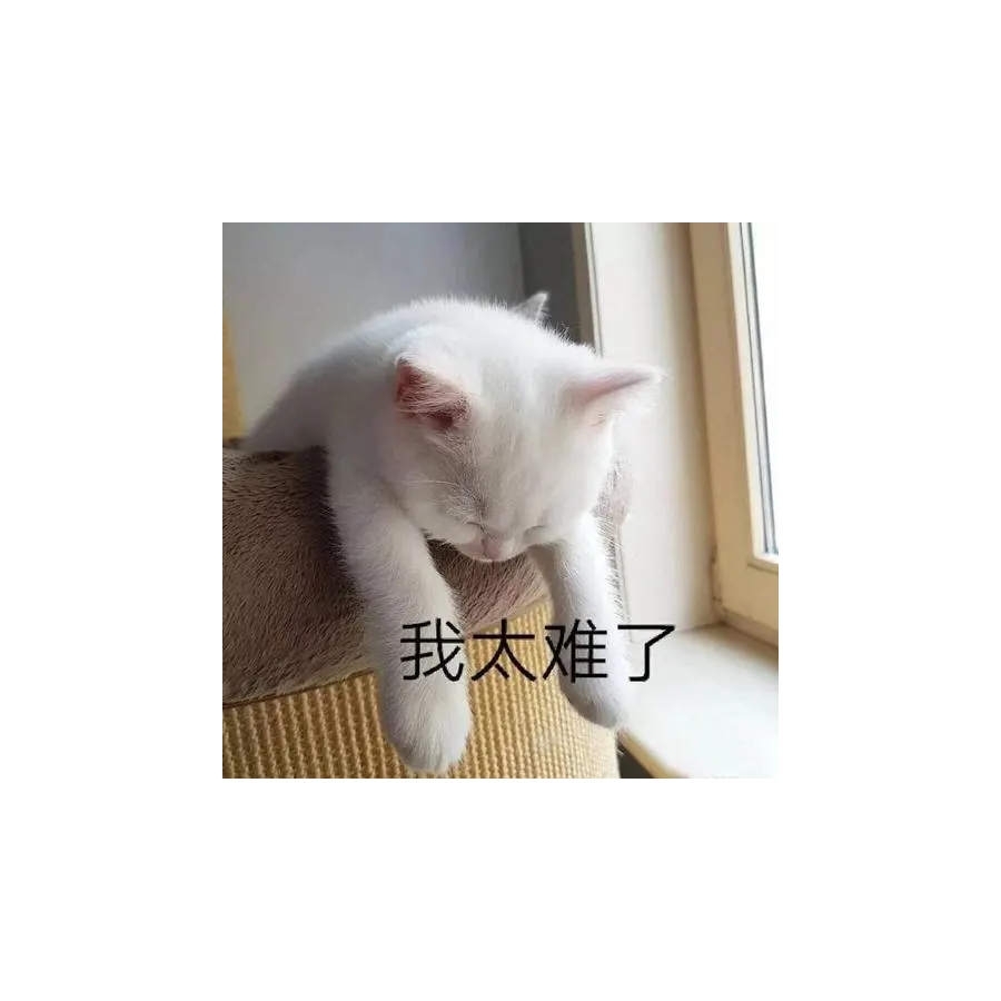 游戏玩家