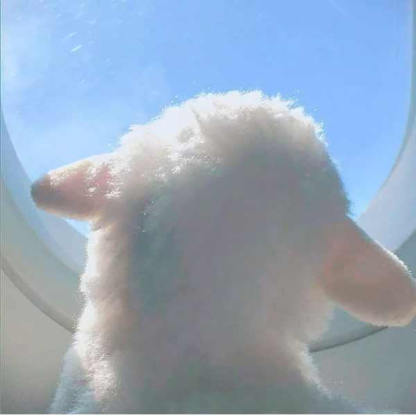阁下