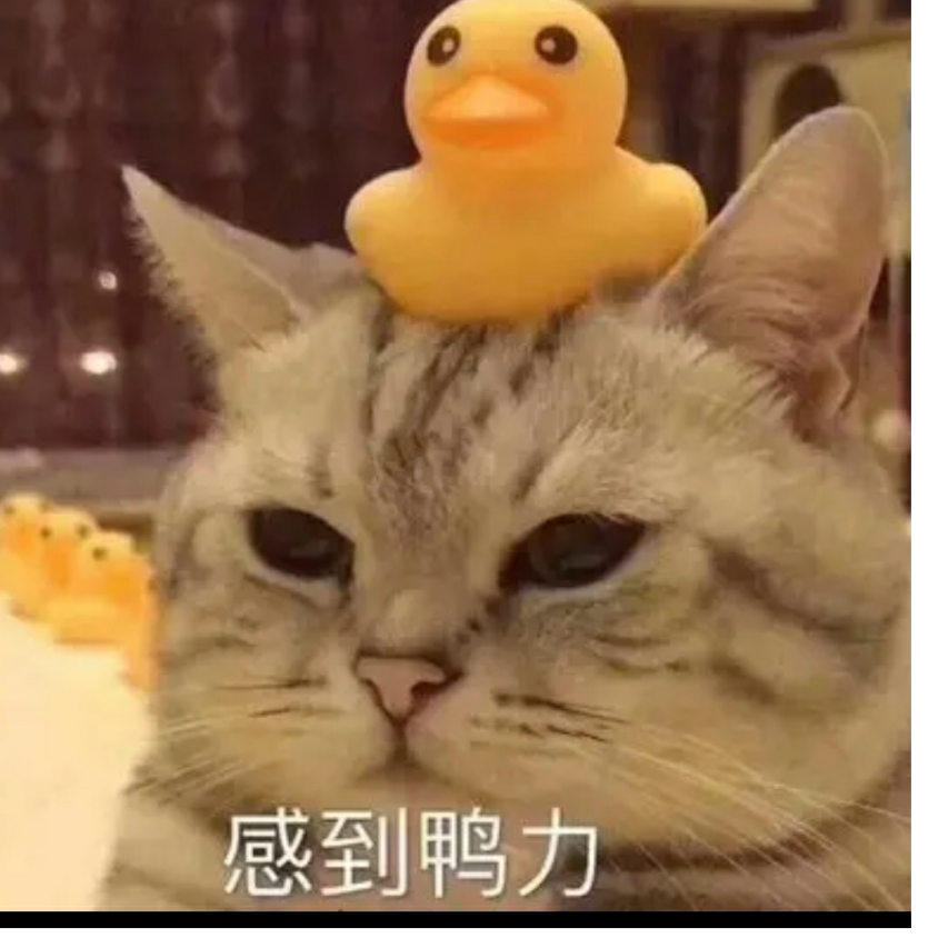 小黑
