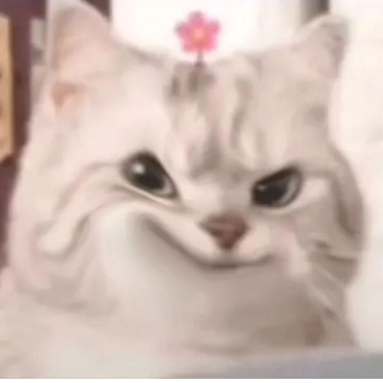 是灰机耶