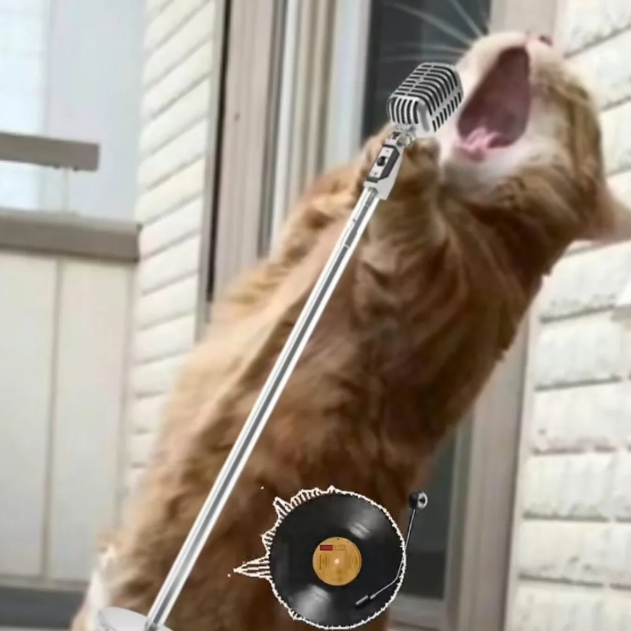 几代人
