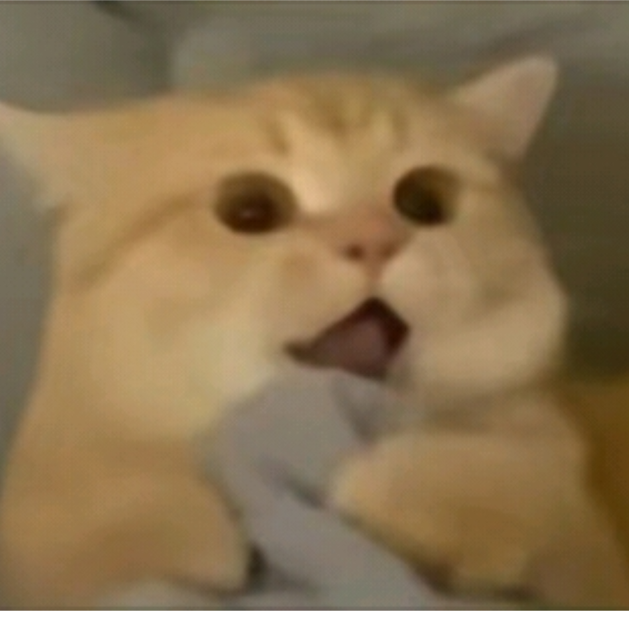 安逸