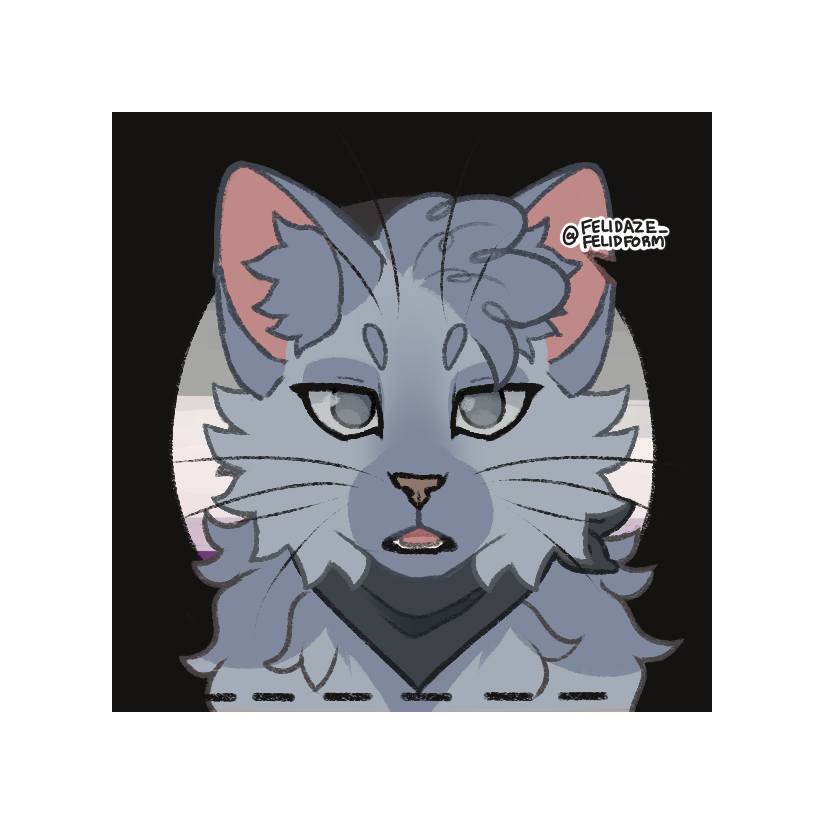 二猫