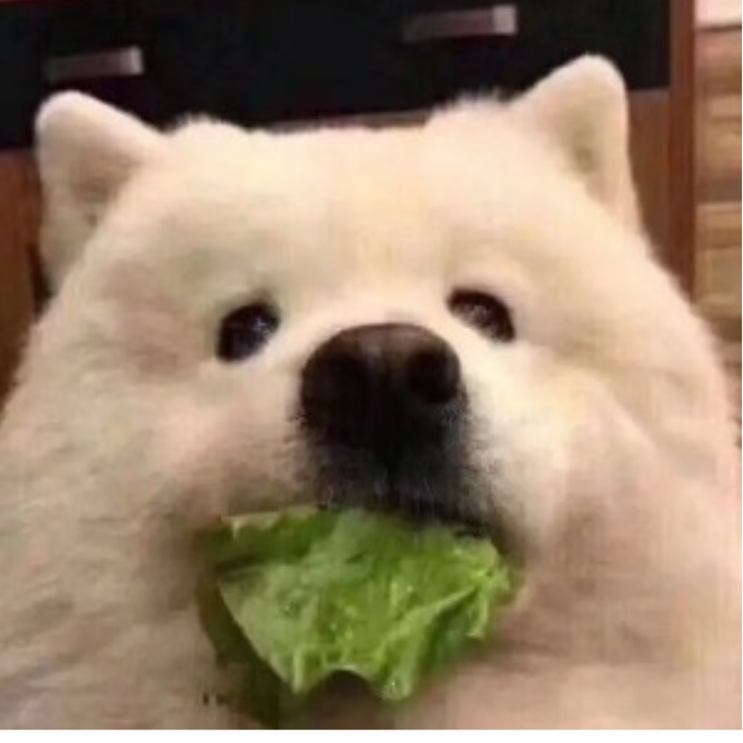 老胡