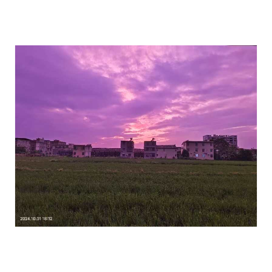 下次