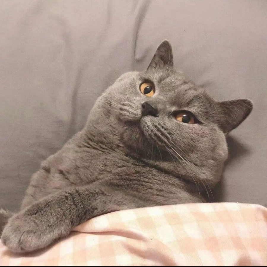 小灿