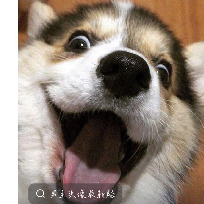 xhjdbdndbhbsbj