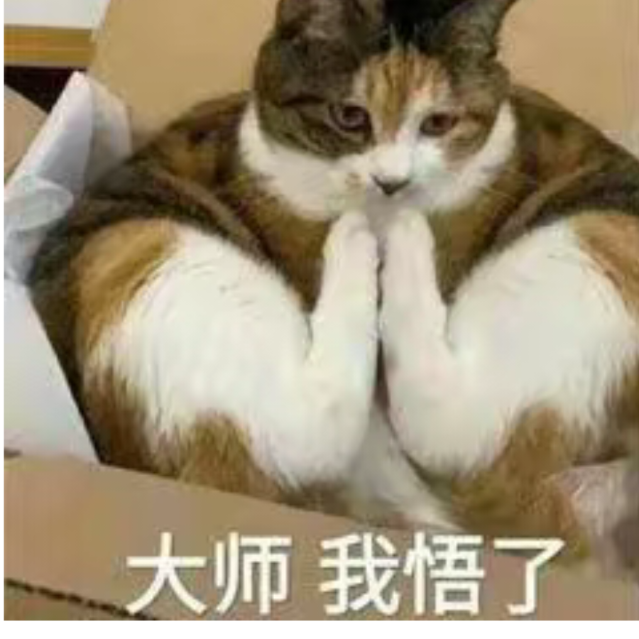 强壮的细狗