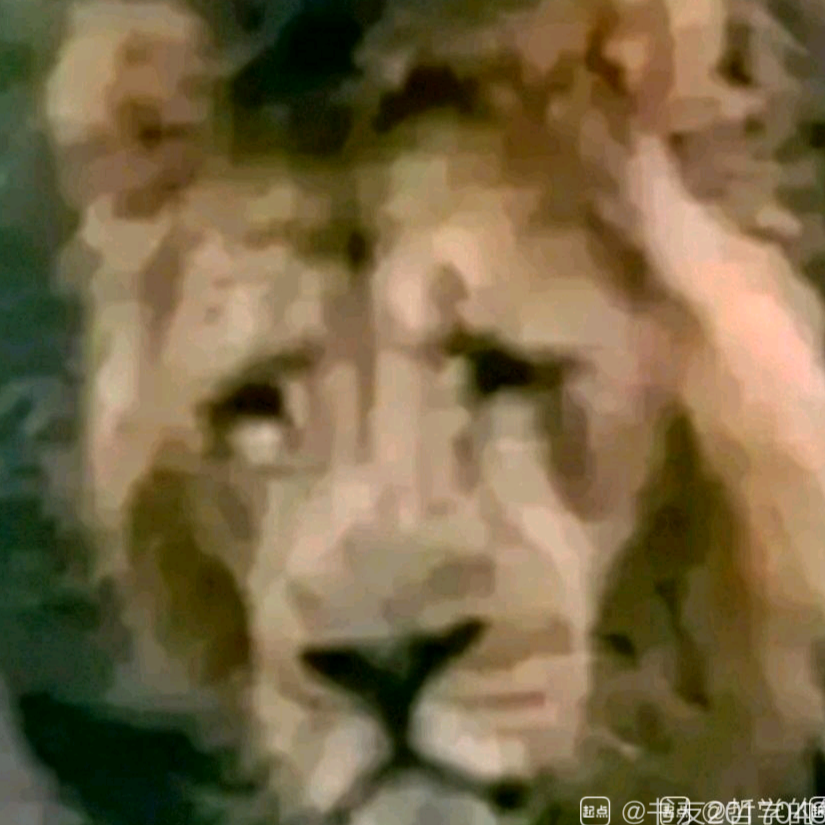 泥丸宫主人