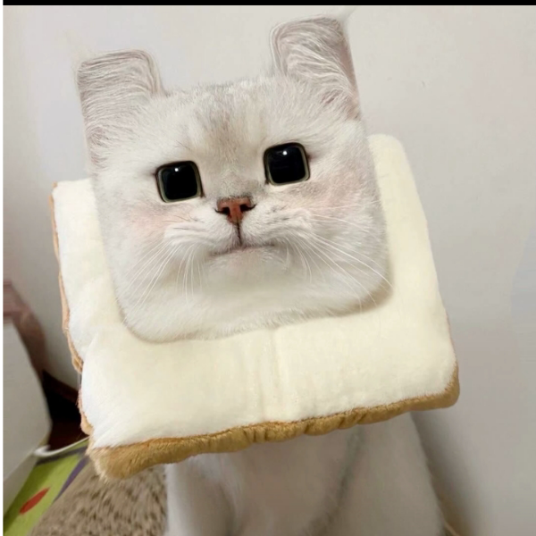 余少
