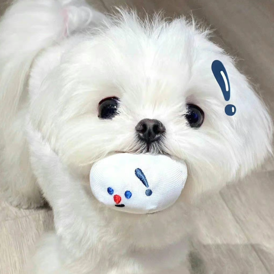 稚安。